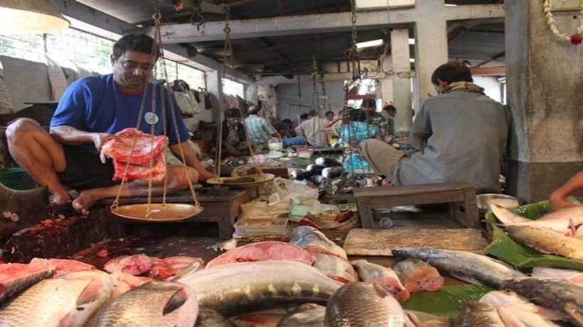Bengal Excels in Fisheries, But Registration Portal Remains a Key Concern