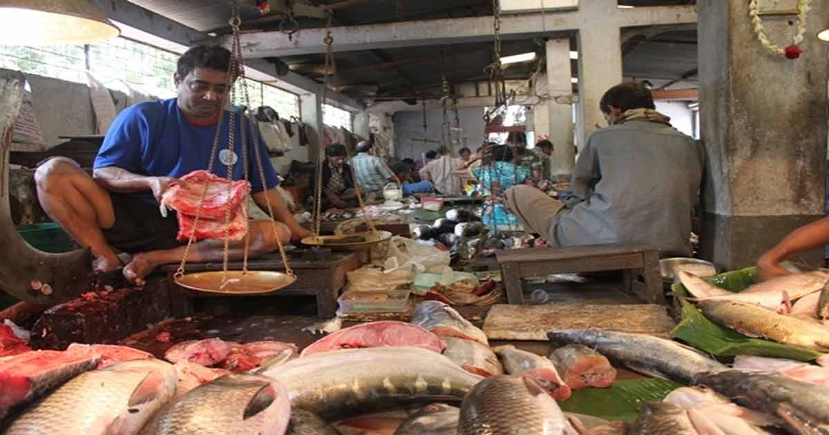 Bengal Excels in Fisheries, But Registration Portal Remains a Key Concern