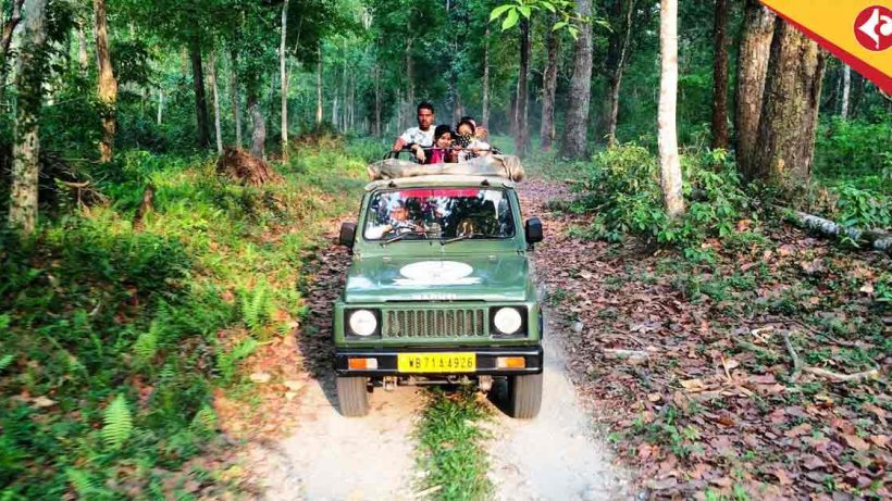 gorumara national park