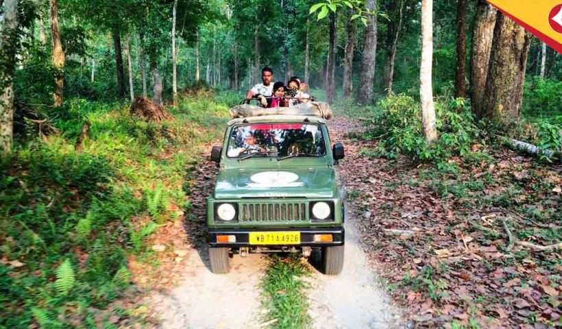 gorumara national park