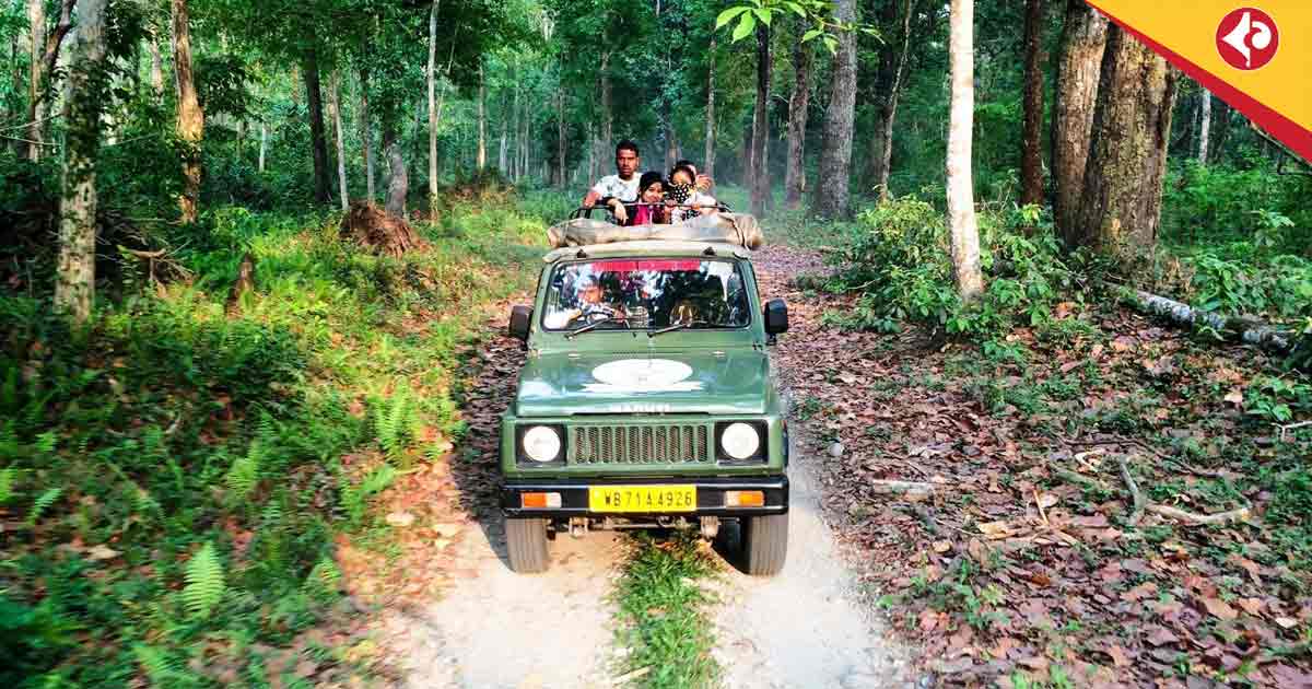 gorumara national park