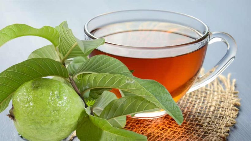 guava-leaves are selling in usa