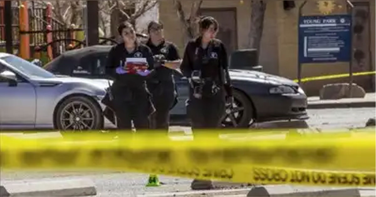 Mexico Festival Shooting