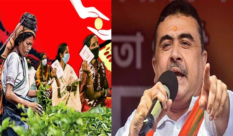 suvendu slams tmc