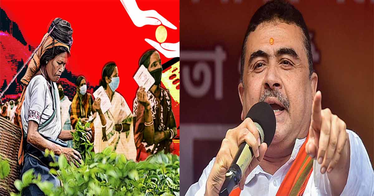 suvendu slams tmc