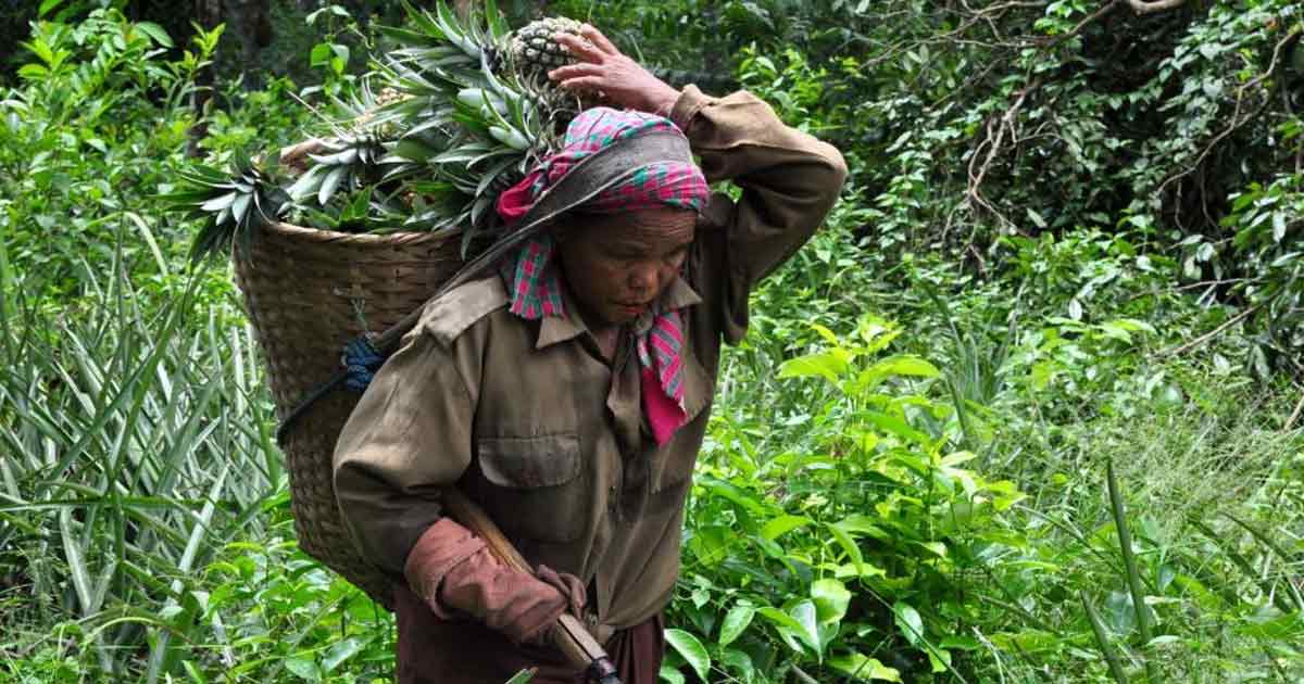 tripura tribals