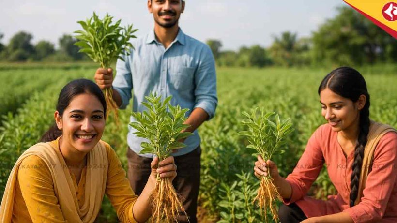 Organic farming facilities