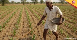 North Bengal’s Farm Sector in Peril as Monsoon Fails to Arrive