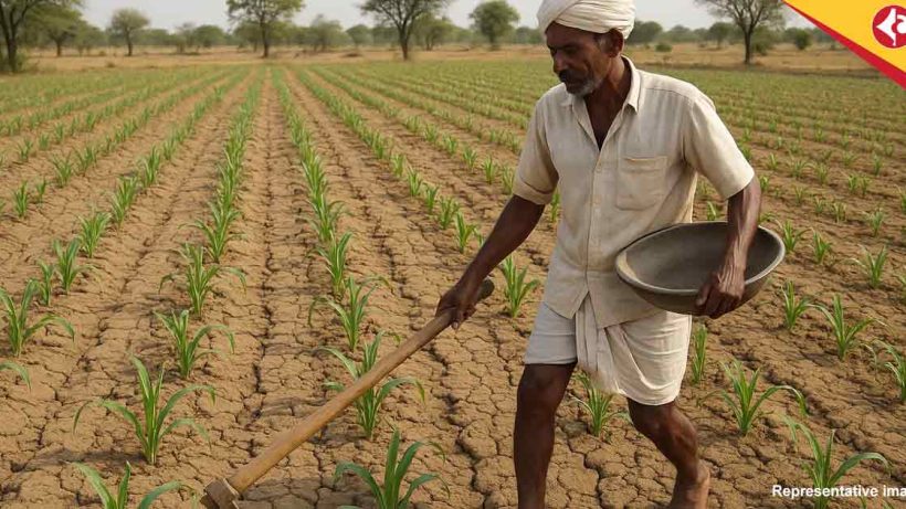 North Bengal’s Farm Sector in Peril as Monsoon Fails to Arrive