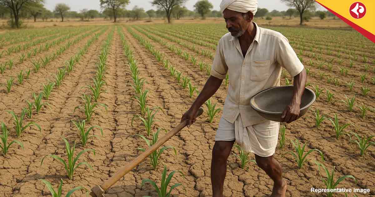 North Bengal’s Farm Sector in Peril as Monsoon Fails to Arrive