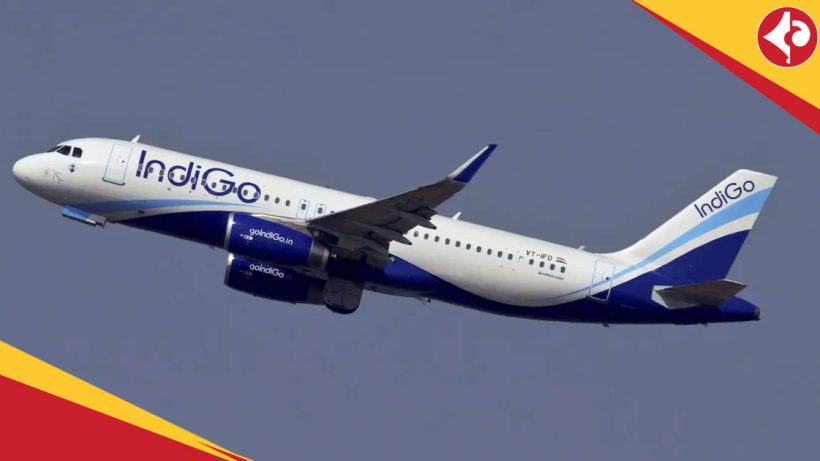 Indigo