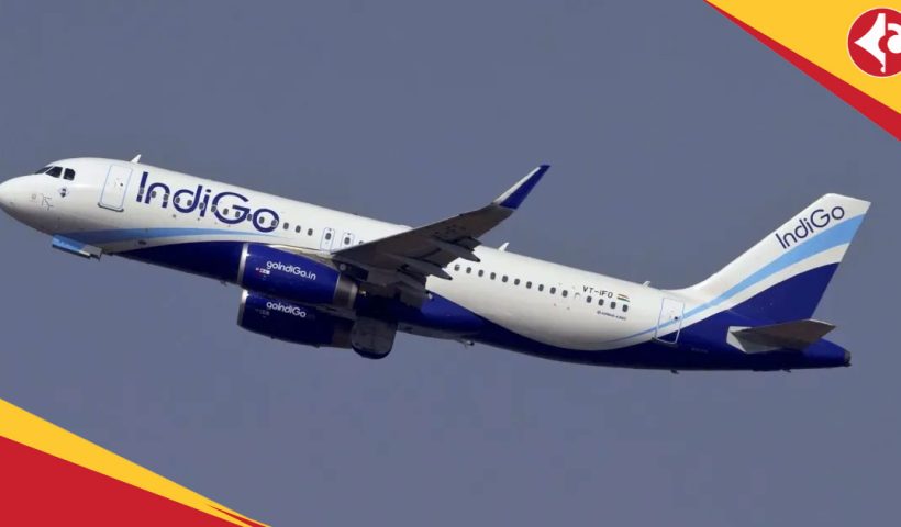 Indigo