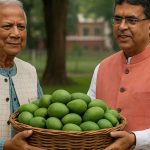 The Kolkata24x7 | Politics বাঙালি মুখ্যমন্ত্রীর জন্য ভারতে ৩০০ কেজি আম পাঠালেন ইউনুস