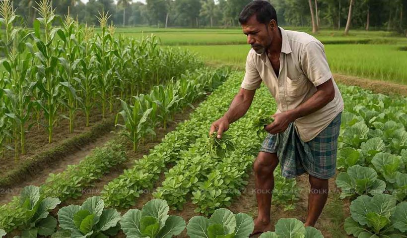Best Companion Crops for Sustainable Vegetable Farming in West Bengal: Boost Yields with Intercropping