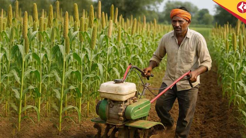 Why Thousands of Farmers Are Switching to Millets in 2025: Climate Resilience and Economic Benefits