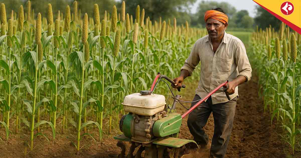 Why Thousands of Farmers Are Switching to Millets in 2025: Climate Resilience and Economic Benefits