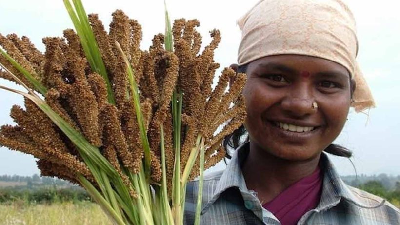 Agriculture mile stone for India