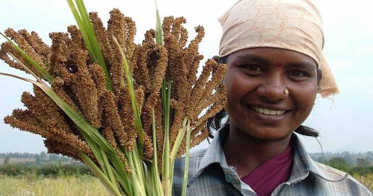 Agriculture mile stone for India