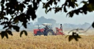 jamboni-women-reap-rewards-from-cultivating-gobindobhog-rice