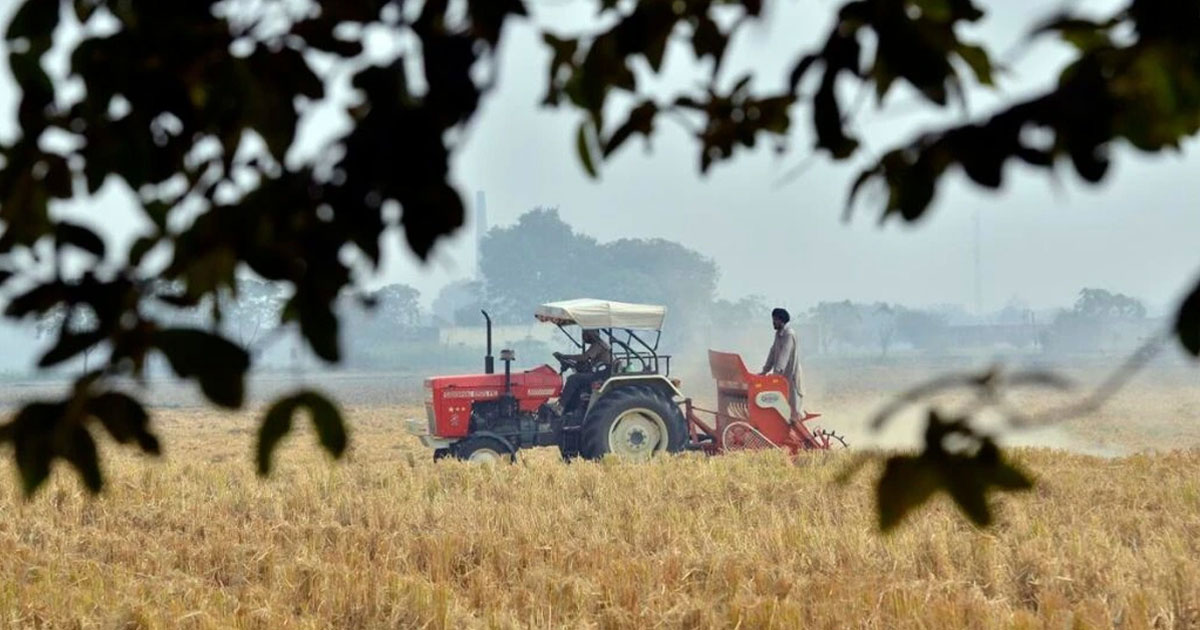 jamboni-women-reap-rewards-from-cultivating-gobindobhog-rice