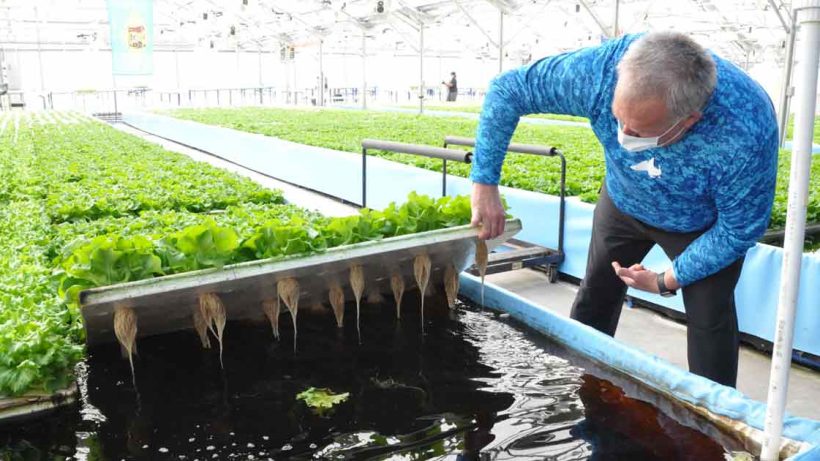 Hydroponic Farming new innovation in farming