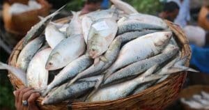 howrah-wholesale-market-check-latest-prices
