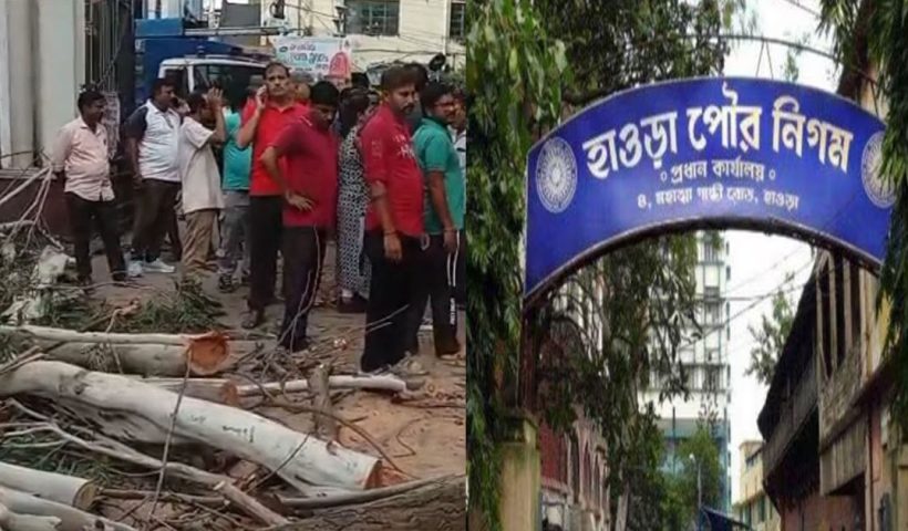 tree falls in howrah municipality