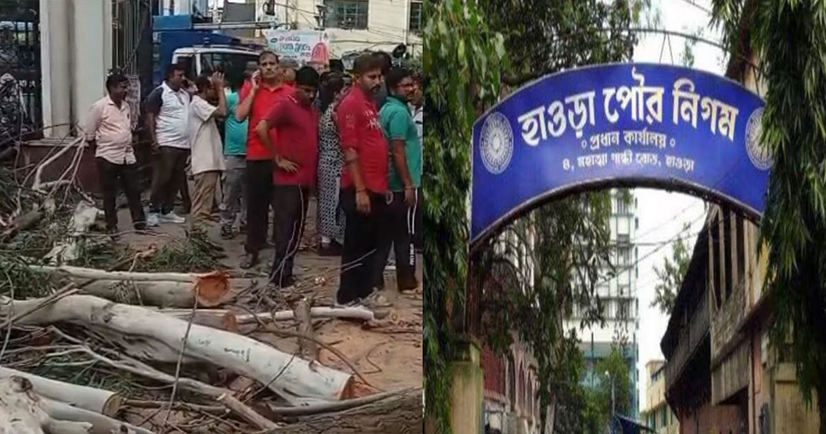 tree falls in howrah municipality