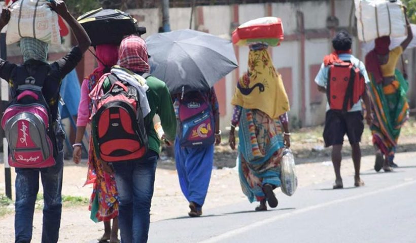 bengali migrant workers release