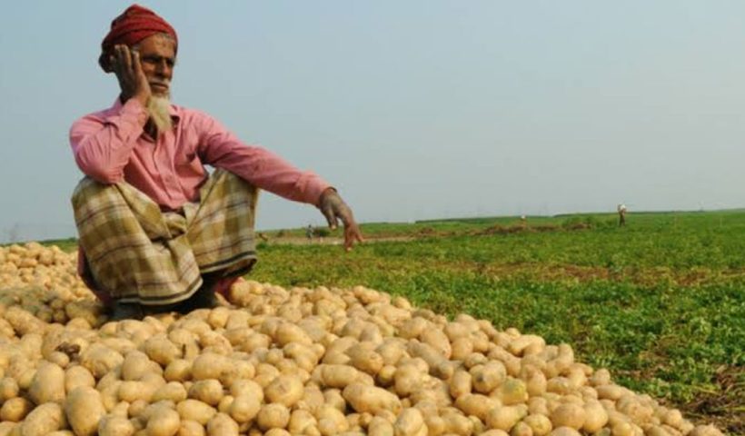 Potato Farmer Crisis