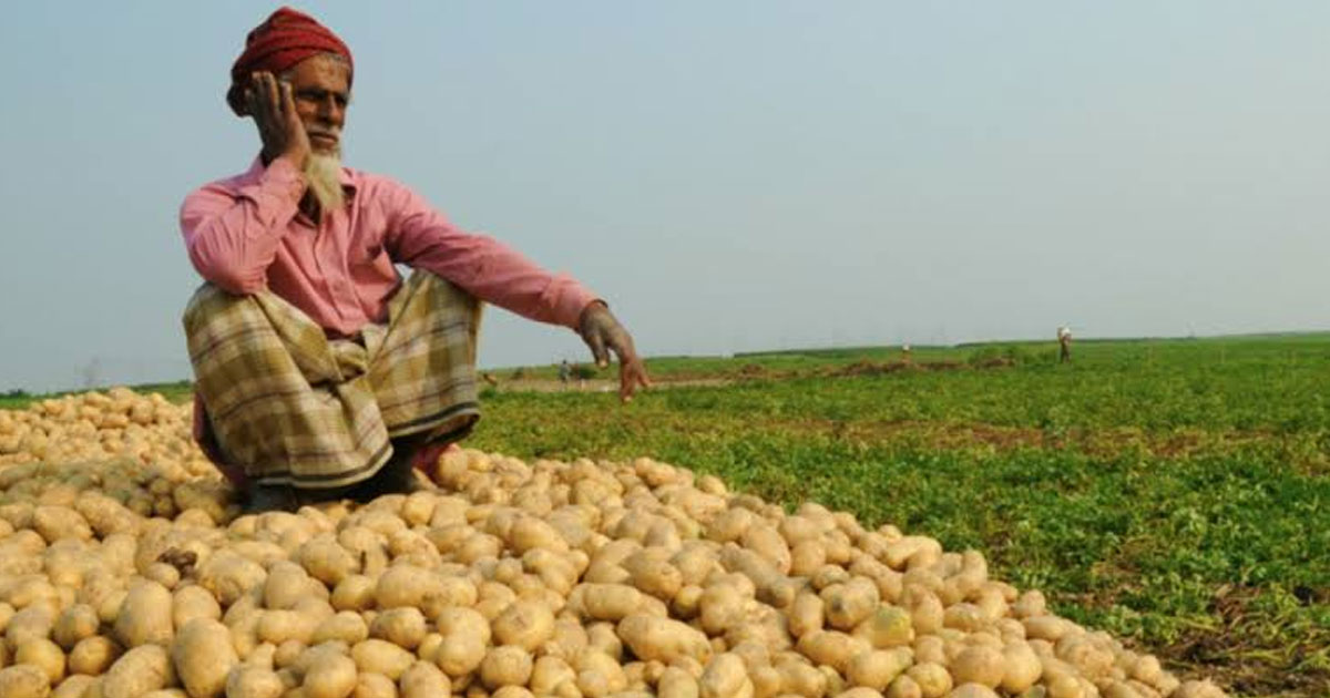 Potato Farmer Crisis