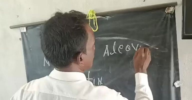 ‘ইলেভেন’ লিখতে গিয়ে কুপোকাত শিক্ষক! সরকারি স্কুলে ক্লাসরুমের ভিডিয়ো ফাঁস