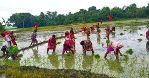 CPIM Reclaims Farmers’ Land in Paschim Medinipur Amid Alleged Trinamool Inaction
