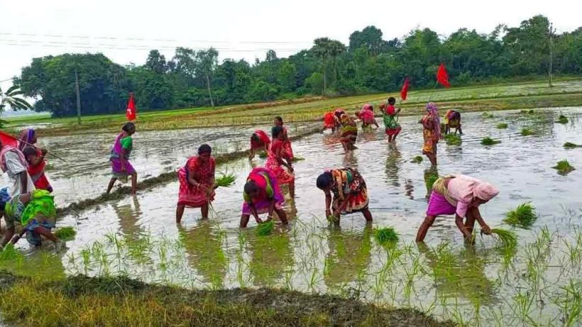 CPIM Reclaims Farmers’ Land in Paschim Medinipur Amid Alleged Trinamool Inaction