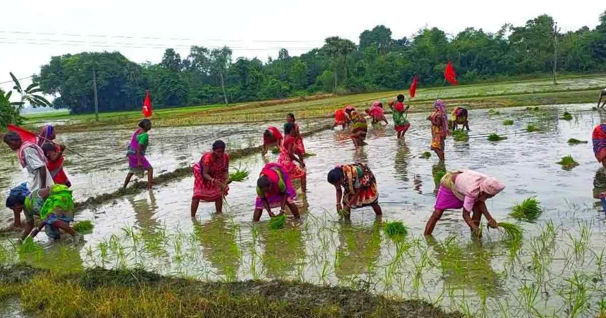 CPIM Reclaims Farmers’ Land in Paschim Medinipur Amid Alleged Trinamool Inaction