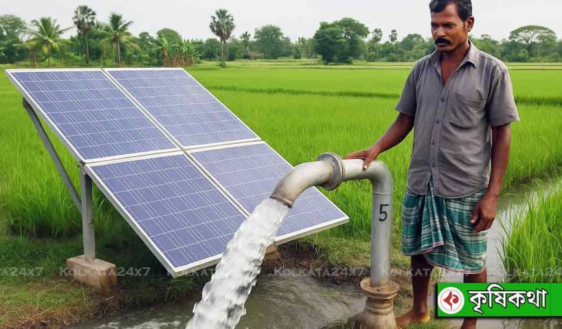 Can Solar-Powered Pumps Revolutionize Indian Farming