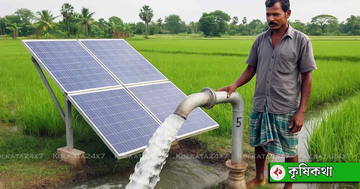 Can Solar-Powered Pumps Revolutionize Indian Farming