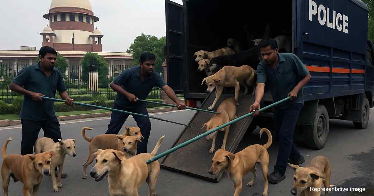 Delhi-NCR Stray Dog Crisis: Supreme Court Mandates Shelter Relocation