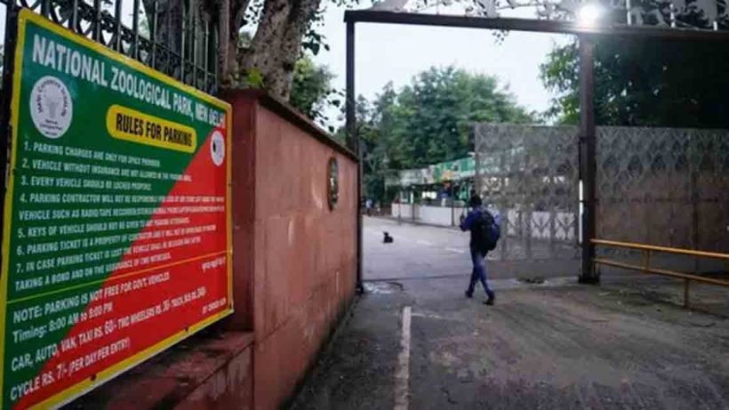 Delhi Zoo
