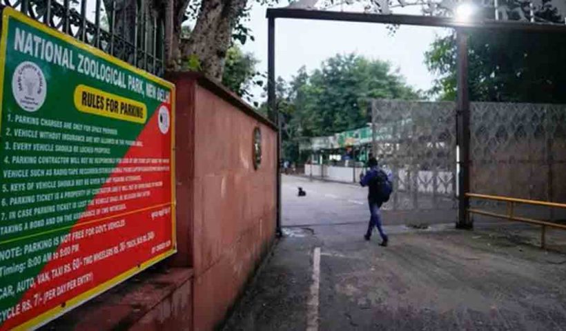 Delhi Zoo