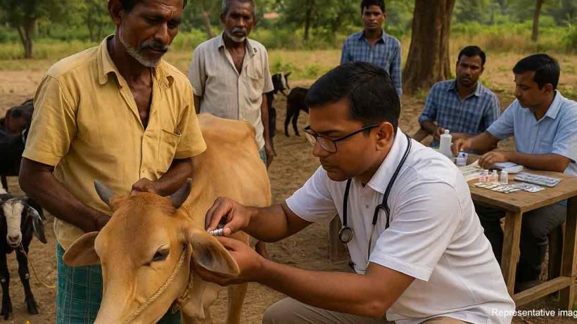 Free Veterinary Camps in Hooghly: Dates & Locations This Week