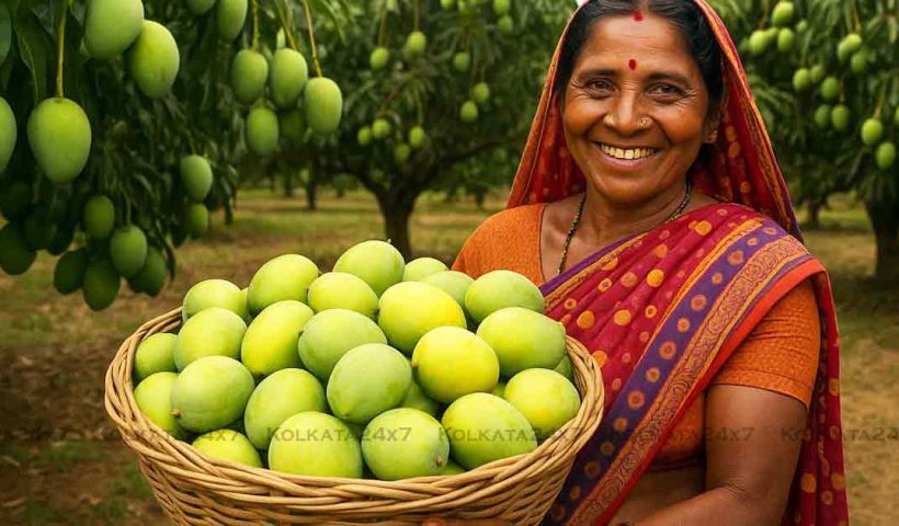 India Sets New Record in Mango Production