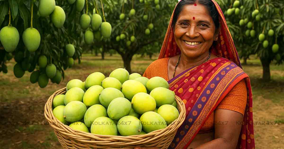 India Sets New Record in Mango Production