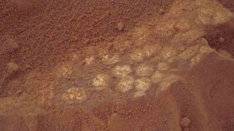 Dinosaur Eggs on Mars