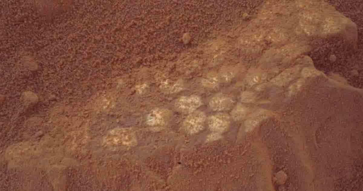 Dinosaur Eggs on Mars