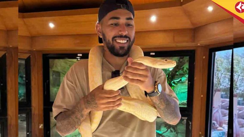 Miguel Figueira Snake Photos Go Viral