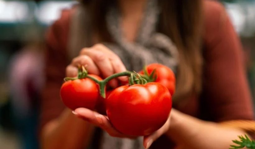 Tomato