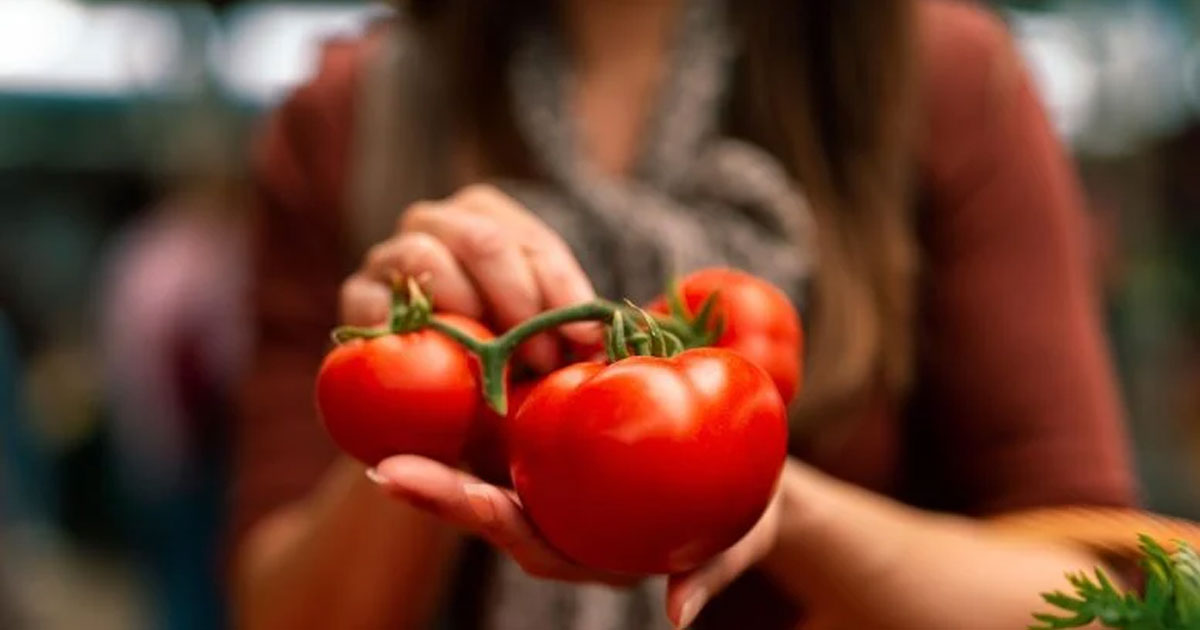Tomato