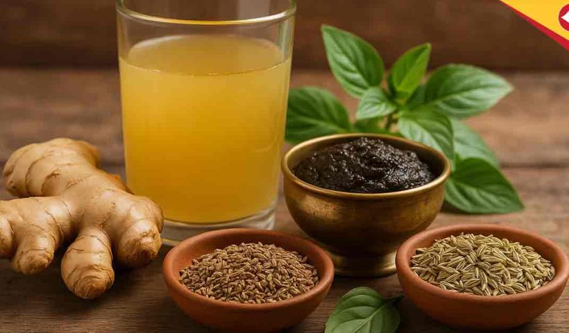 Top 5 Ayurvedic Home Remedies for Constipation and Gas Relief