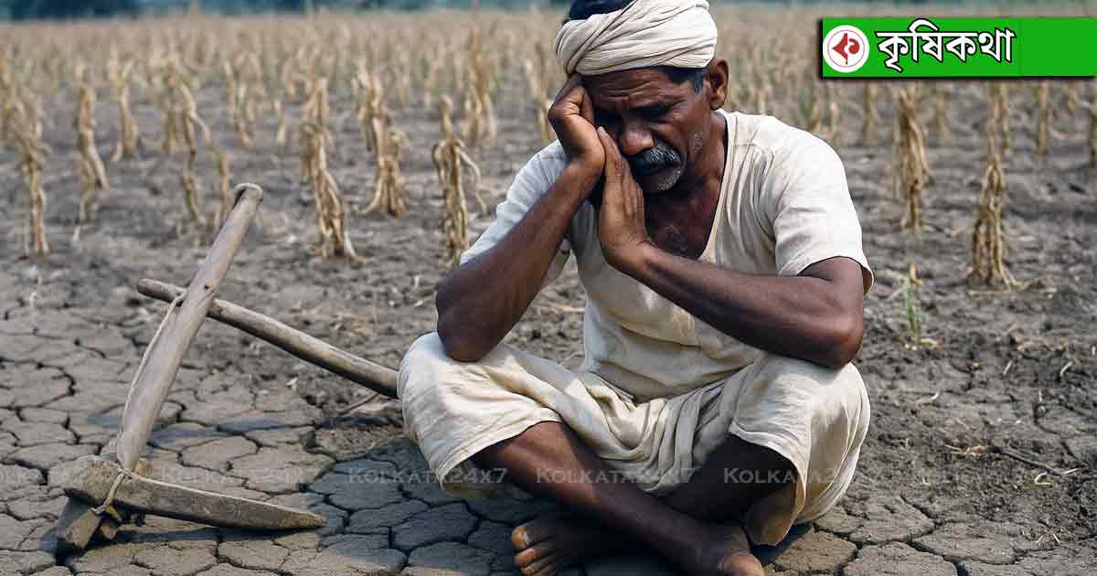 Unraveling Farmer Suicide Causes in Vidarbha vs. Bengal Agrarian Crisis